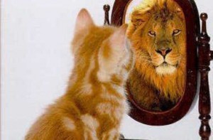 kitten-looking-in-mirror-seeing-a-lion_crop380w-300x197